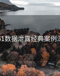 吃瓜51数据泄露经典案例深解析