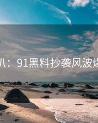 独家深扒：91黑料抄袭风波爆火秘诀
