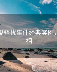 每日吃瓜骚扰事件经典案例，揭秘真相