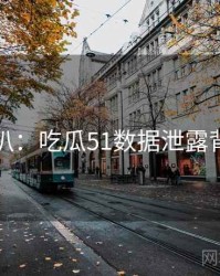 独家深扒：吃瓜51数据泄露背后原因
