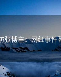 91网专访张博主：网红事件幕后故事