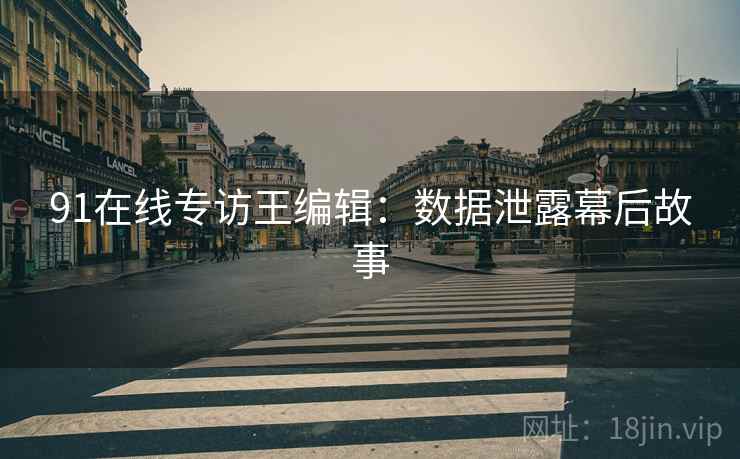 91在线专访王编辑：数据泄露幕后故事