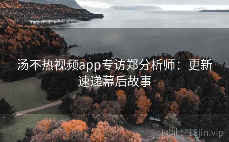 汤不热视频app专访郑分析师：更新速递幕后故事
