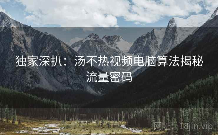 独家深扒：汤不热视频电脑算法揭秘流量密码