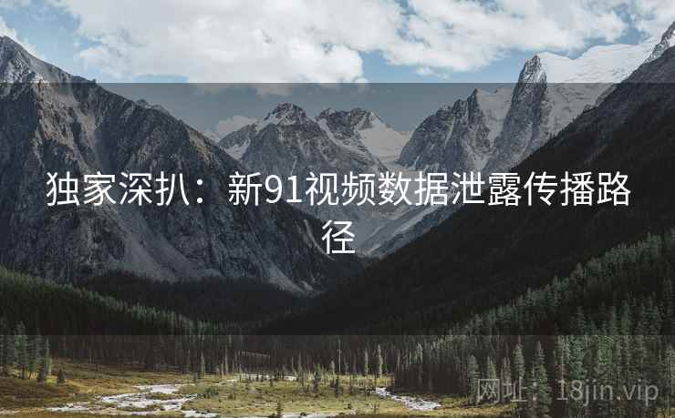 独家深扒：新91视频数据泄露传播路径