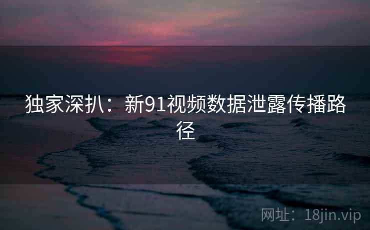 独家深扒：新91视频数据泄露传播路径