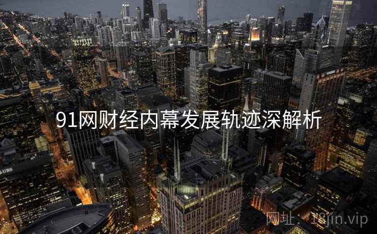 91网财经内幕发展轨迹深解析