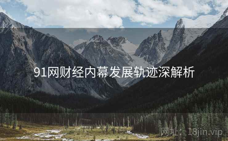 91网财经内幕发展轨迹深解析
