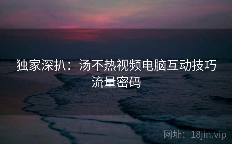 独家深扒：汤不热视频电脑互动技巧流量密码