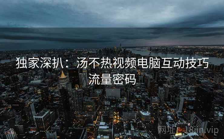 独家深扒：汤不热视频电脑互动技巧流量密码