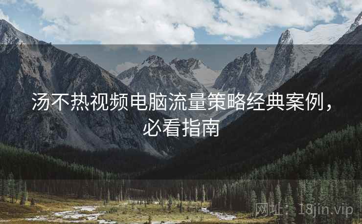 汤不热视频电脑流量策略经典案例，必看指南