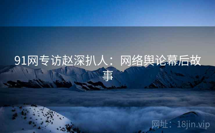 91网专访赵深扒人：网络舆论幕后故事