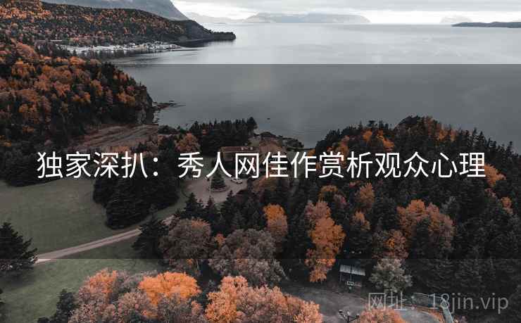 独家深扒：秀人网佳作赏析观众心理