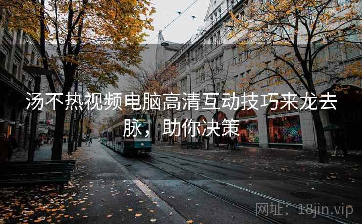 汤不热视频电脑高清互动技巧来龙去脉，助你决策